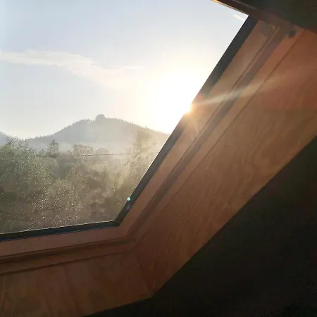 아파트 Baza Udana